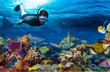 Port Blair and Havelock in 4 nights with Elephant Beach Port Blair and Havelock in 4 nights with Elephant Beach